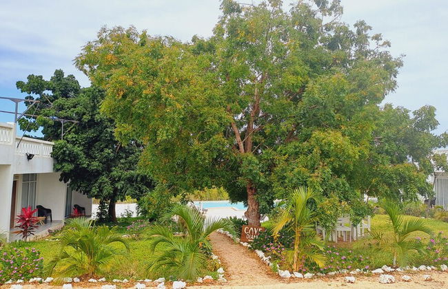 Cave Diani Studio Apartments - Foto 54