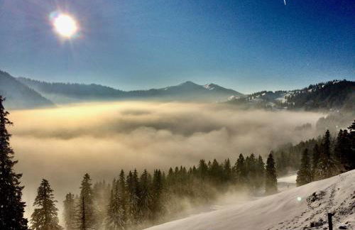 Ferienwohnung Bergrose - Foto 19