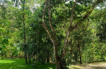 Chalé Carolina Bela - Foto 24
