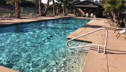 Palmen Maricopa - Photo 3