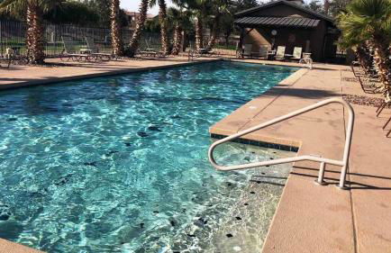 Palmen Maricopa - Photo 3