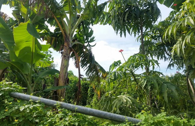 Holiday House Second floor Ste - Photo 60