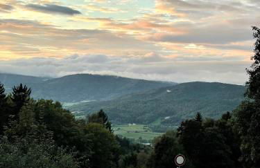 Modernes Top Apartment mitten im Bayerischen Wald + WLAN kostenfrei - Foto 31