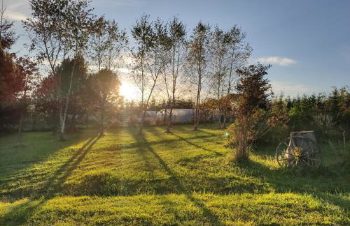 Agroturystyka Zadnie Łuki - Foto 29