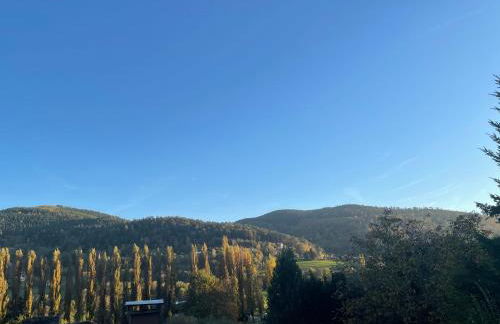 L'Impasse 2-6 personnes, spa, cheminée et piscine en été - Foto 21