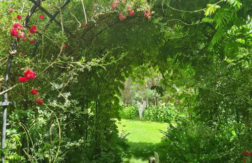 Sowi Dworek - Foto 19