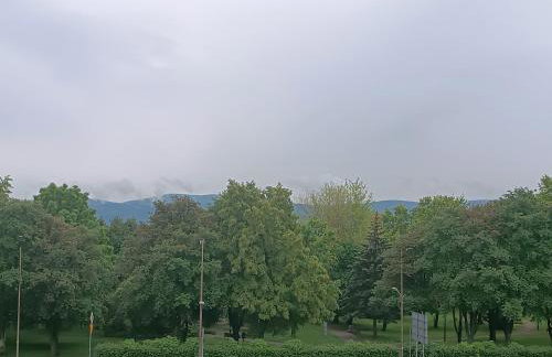 Lokal na Złotym - Foto 12