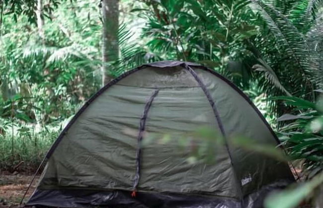 Tronco Tambopata Adventure - Photo 58