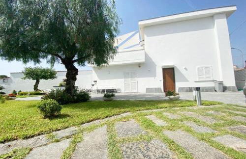 Home Olympus Vesuvio - Photo 9