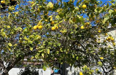 Pool Front Romantic Getaway withPrivate Entry - Foto 48