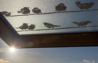 Ferienwohnung an den Grundwiesen - Foto 15