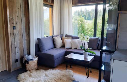 Willa Maciejka - Domek Narciarski - Foto 18