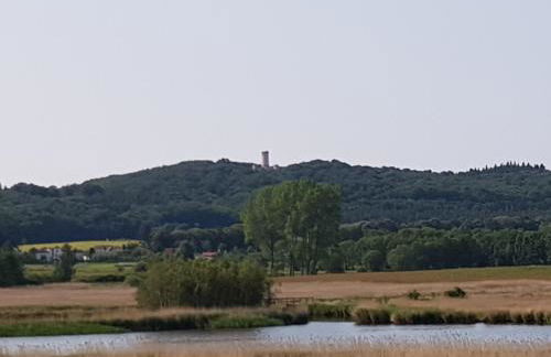 Fewo 1 im Fischerhaus mit Wintergarten und Terrasse - Foto 49