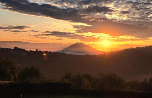 Villa Fiore Spinovci - Foto 22