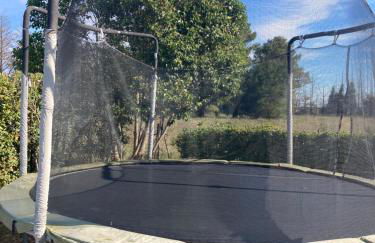 Les Bougainvillées de Camargue - Photo 42