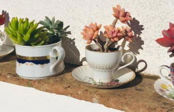 Casinhas da Figueira - Foto 60