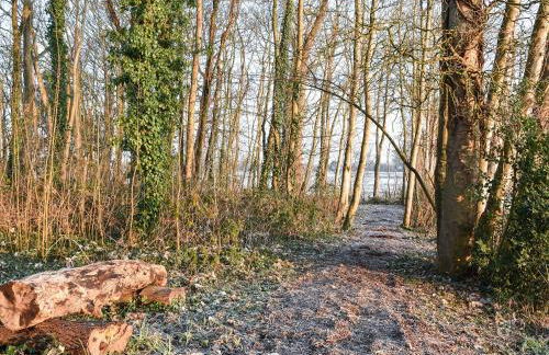 Sheep's View Cottage - Foto 29