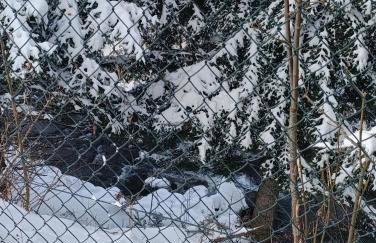 Zawojskie Spanie - Foto 49