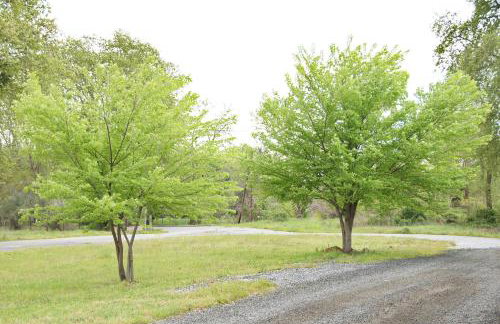 Hotel Geromichalos - Foto 60