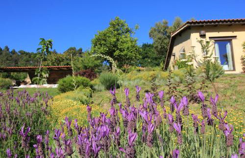 Casa de Vilar de Rei, férias em família com piscina - Foto 74