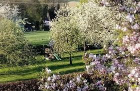 Gemütliche FeWo im Fachwerkhaus - Foto 2