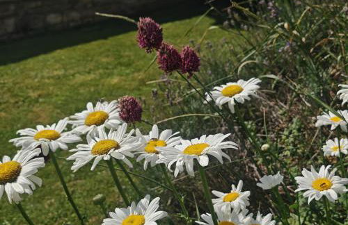 chez Émile côté face maison entière, 3 chambres, 2 salles de bains,jardin et terrasse - Foto 27