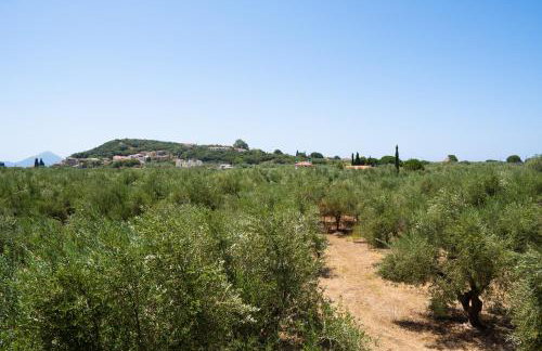 Messenian Serenity - Foto 39