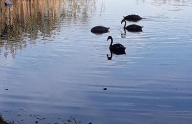 Domek u Janiny - Foto 4