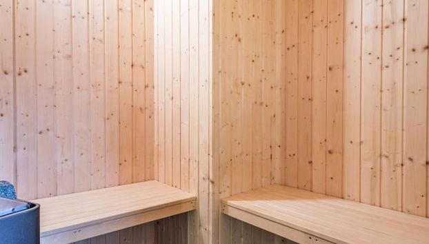 10 Person Holiday Home in Blavand - Foto 2, Sauna