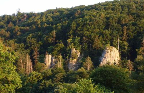 Fewo Lehner - Foto 11