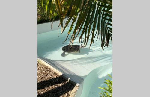 VILLA ON TOP MONTE SÃO FELIX - Foto 38