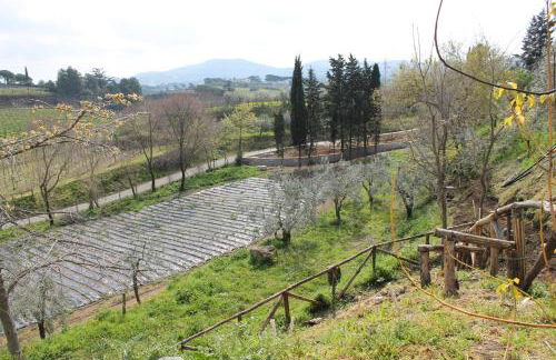 Country House Erba Regina - Foto 90