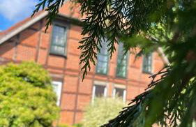 Hof Düshop - Foto 16