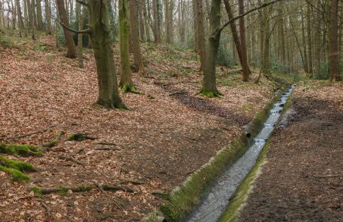 Holly Cottage - Foto 19