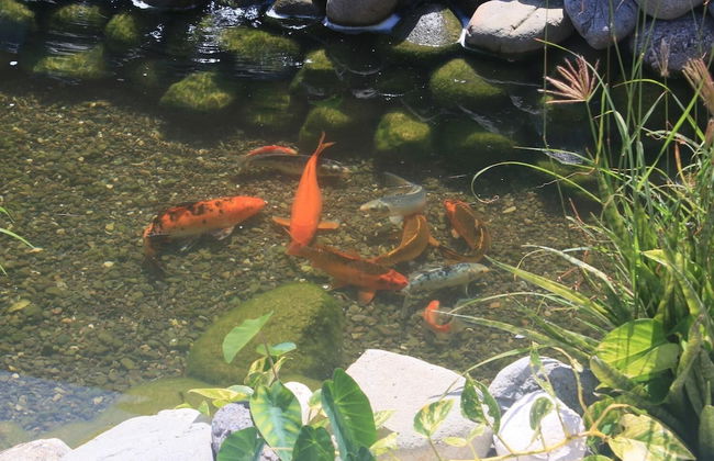 Hi Thatcher Villa - Foto 25