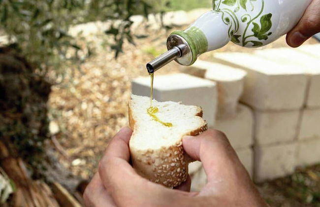 Tenuta Olive Alive - Photo 65