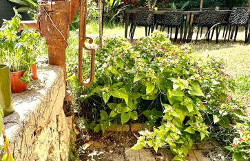 Villa Lila - Foto 17