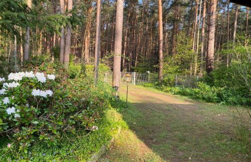 Ferienhaus im Wald - Foto 27