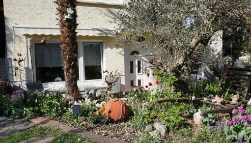 Ferienwohnung Palmengarten Bad Honnef - Foto 2