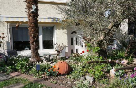 Ferienwohnung Palmengarten Bad Honnef - Foto 2