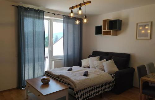 Apratmán Julie – Bavorská Ruda - Foto 13