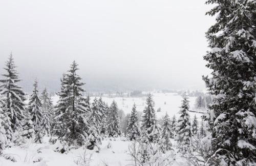 Holiday Home Kuća za odmor LEA - Ravna Gora - Foto 6