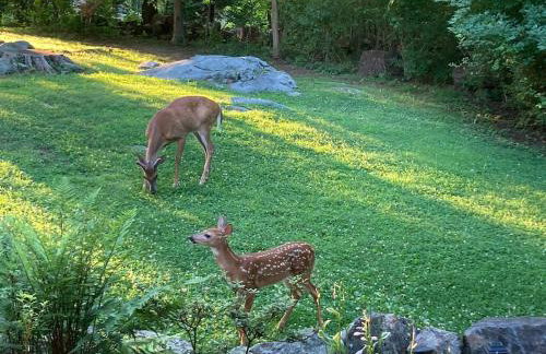 Lux Home 5 min to Train and Airport - Foto 27