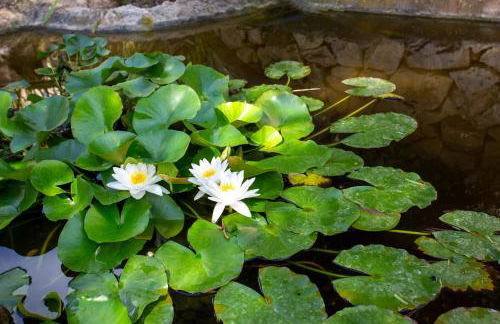 Azzurra Home-Charming Property- For 6 guests - Foto 17