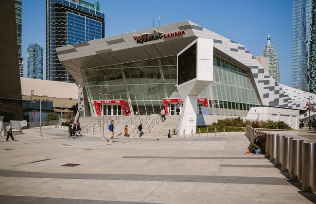 Bright 4-Bedroom in Forest Hill - Photo 30