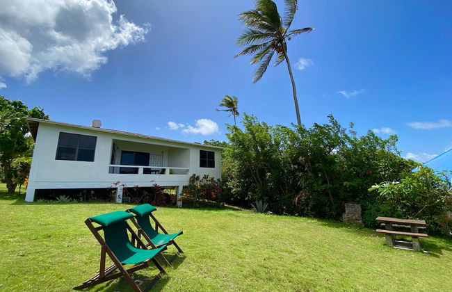 Sea Cliff Eco-Cottages & Gin Distillery - Photo 13