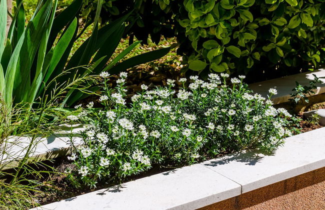 Apartment Veronika - Photo 22