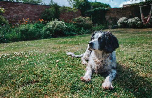 Welsh Cottage - Foto 27