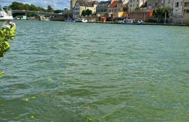 Le petit Marnais - 15mn Disneyland - 25mn Paris - Foto 5