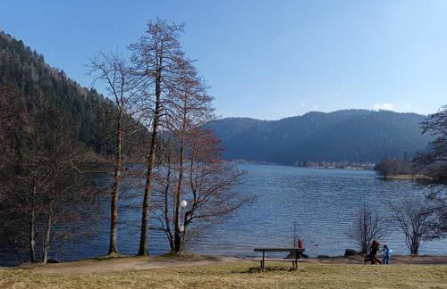 Duplex - Proche de Gérardmer - Foto 27